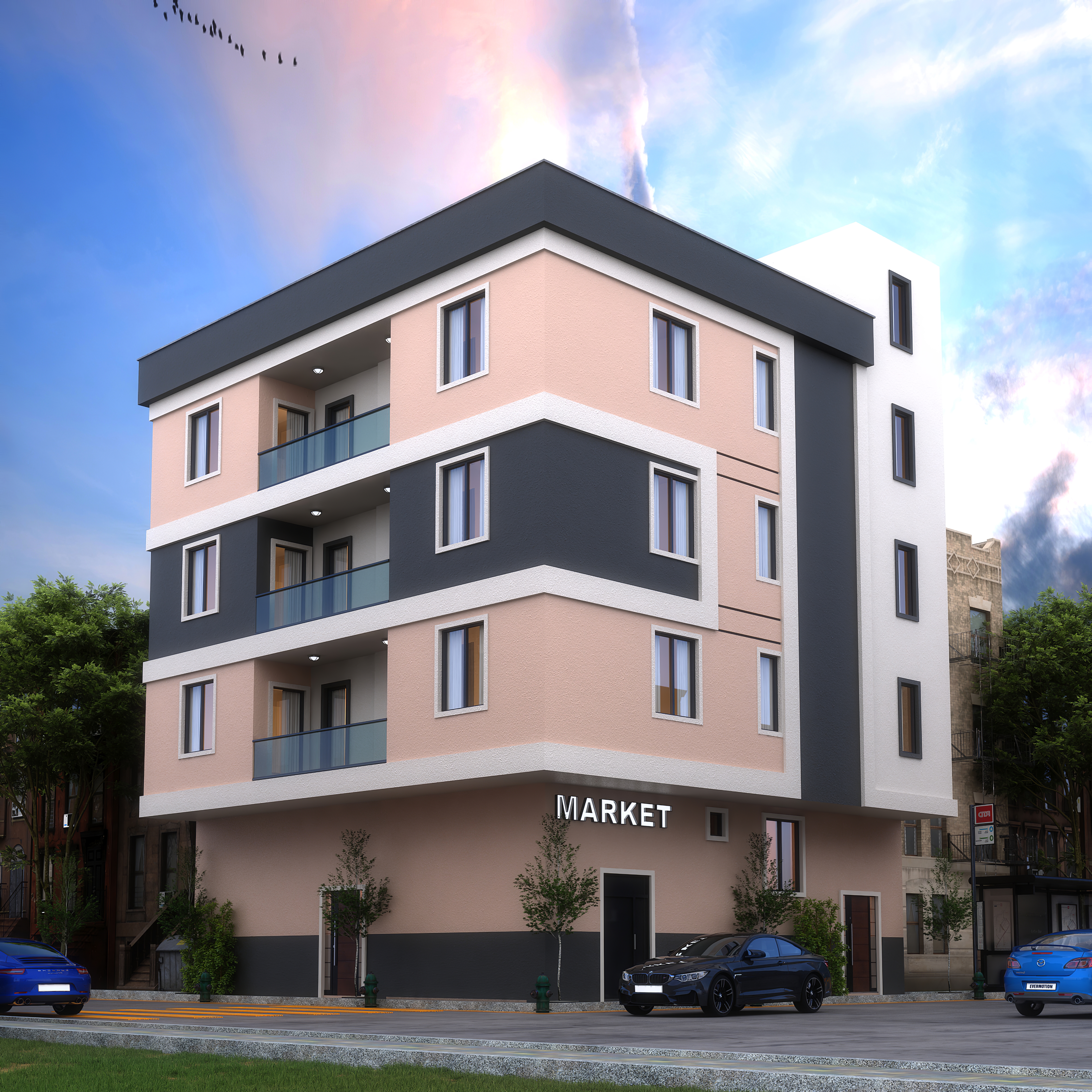 Shibis Projesi / Somali